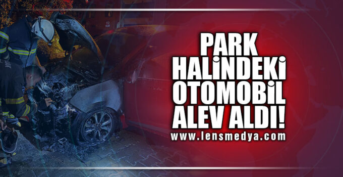 PARK HALİNDEKİ OTOMOBİL ALEV ALDI!